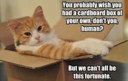 https://usercontent2.hubstatic.com/4438849_f260.jpg