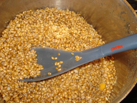 Big, fluffy wheat berries!
