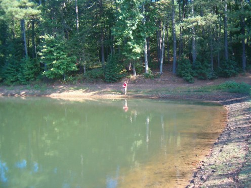 Mixed Pond Topography: The foreground has a sloping beach, but as the shoreline curves, it begins to drop off. An excellent spot!