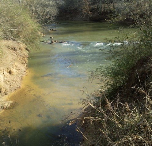 The confluence of Lulawissie Creek and the main River. Another excellent fiishing spot.