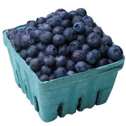 Blueberries are wonderful for our bodies and mind.  These delicious, tart little guys pack a great deal of antioxidants and nutrients. They're also low in calories, which make them one of a dieters best friends. 