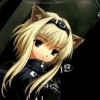 Ninjah Kitten profile image