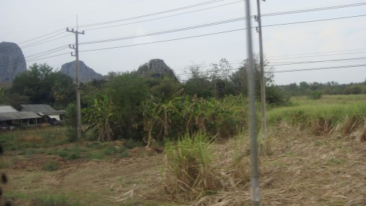 Scenery