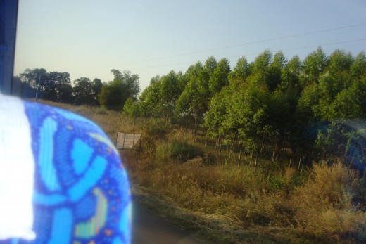 Looking at the roadside from the bus.