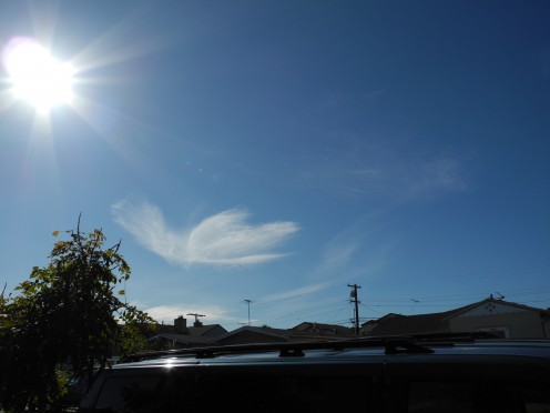 Chemtrail Sylph floating in the wind above houses.  Beautiful as an art form, but highly toxic.