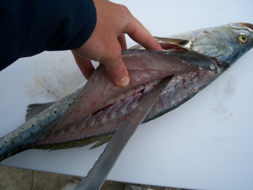 #5 Slicing up to the backbone preparing for ribcage
