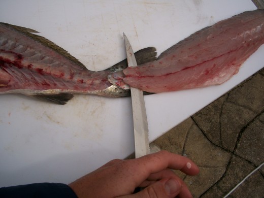 #9 Rotated and begin skinning