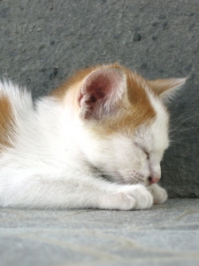 Quite or quiet, bought or brought, went or when .... let me sleep on that.