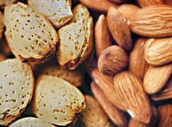 Nuts and whole grains are important features of the Mediterranean style diet.
