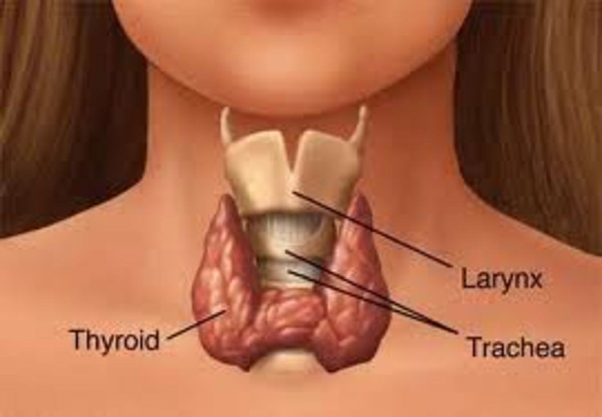 My Heart is Racing! Could I Have Hyperthyroidism Even if My Lab Results are Normal? The Symptoms of Thyroid Disease