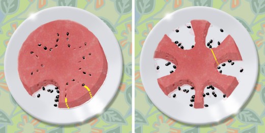 --------------------- Fig. 2 ------------------------------------------------------------Fig. 3 ---------------------