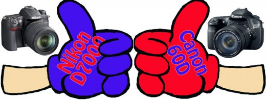 Canon 60D vs Nikon D7000