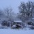 Our garden and well: Limousin was a magical wonderland this winter