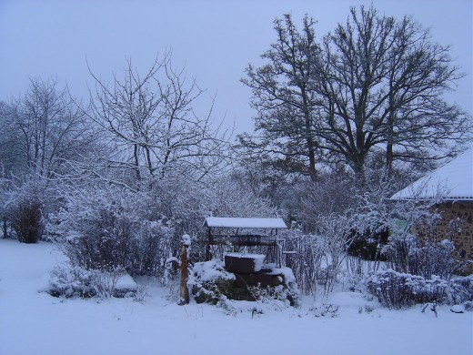 Our garden and well: Limousin was a magical wonderland this winter