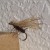 Caddis fly pattern Caddis fly pattern