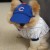 Boo dressed to cheer his team on Boo dressed to cheer his team on