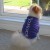 Boo does Yahoo in style Boo does Yahoo in style