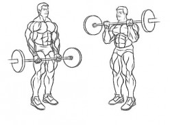 What Is The Best Way To Build Big Arms