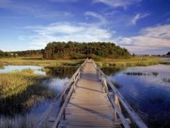 Cape Cod Walks