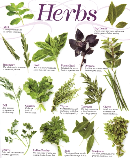 Fresh Herbs