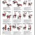 Dumbbell Exercise Chart - White with Photos and Full Instructions Dumbbell Exercise Chart - White with Photos and Full Instructions