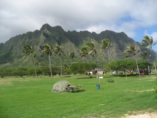 Camping in the little tent on green grass facing Kauai surf. A  large cooking shelter with electricity is closeby also showers and toilets house are closeby.