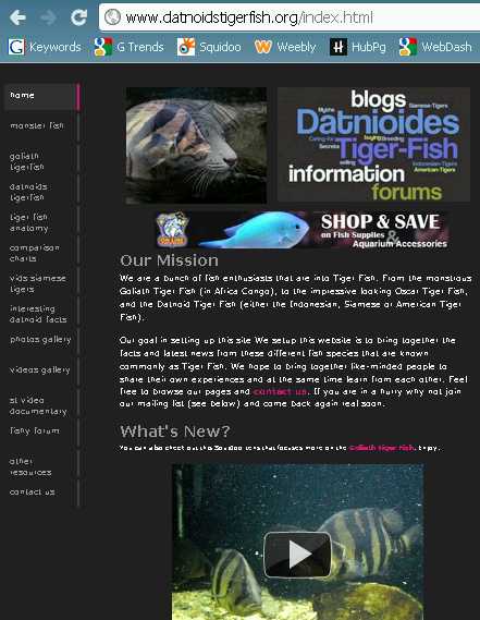 A Profitable Niche Website created using the Free Weebly Site Builder.