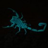 Scorpio21 profile image