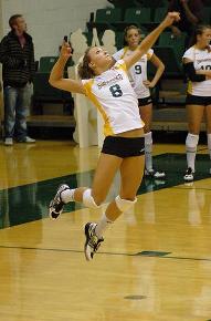 Volleyball Spike Techniques | HubPages