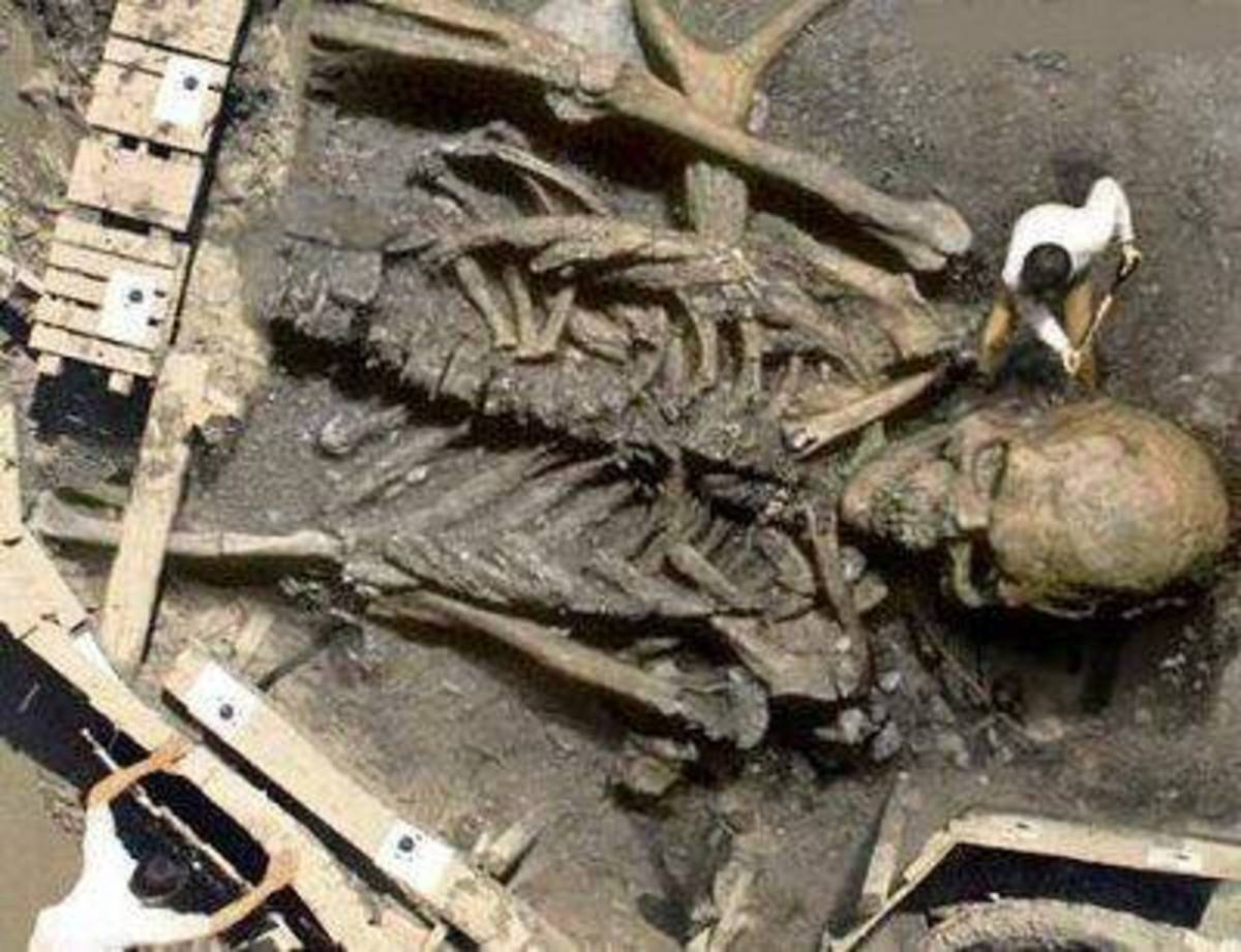 This bizarre image first showed up in October 2002 as an entry in a Photoshop contest run by the website Worth1000.com. It was created from a photo of a Cornell University excavation to make it appear like it was a giant. 