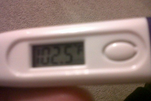 Not a good day at all.  A 102.5 degree temperature kept me away from work and on the couch all day long.