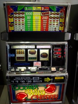 Free Hangover Slot Machine Online