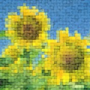 Mactax profile image