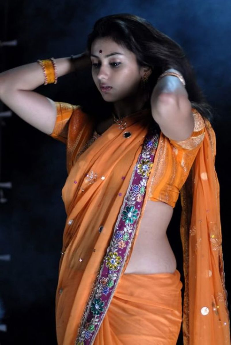 Photos Of South Indian Actresses In Beautiful Sarees Hubpages 