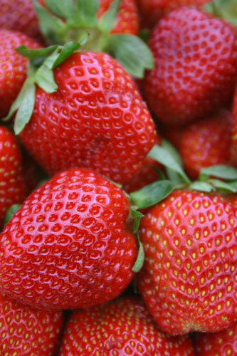 fresh strawberries from a roadside stand