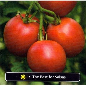 Burpee Mexicana Hybrid Tomato 30 Seeds - Best for Salsa