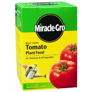 Miracle-Gro 2000421 Tomato Plant Food - 1.5 Pound 