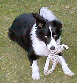 In a playful mood