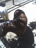 Avila Barn with a Cute Petting Zoo near Avila Beach