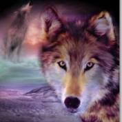 SurrendersAlright profile image