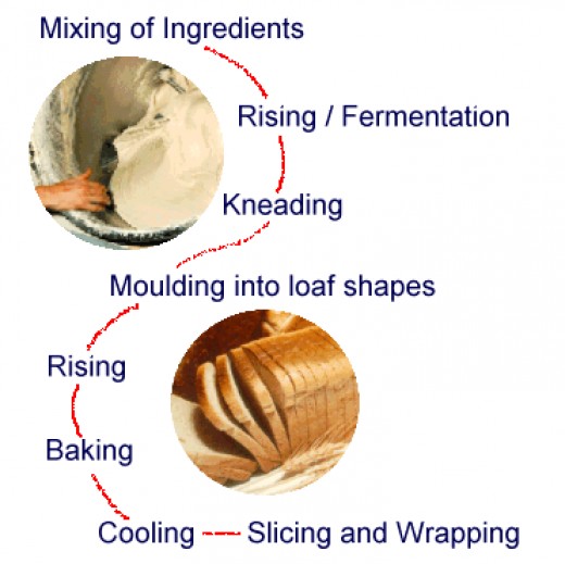 The Process On How Bread Is Made