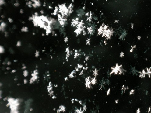 Falling Snow