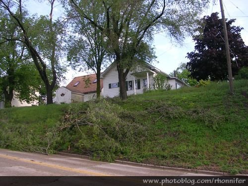 The branch laying on the hill is the one that took out my power lines.  (Manistee, Michigan)