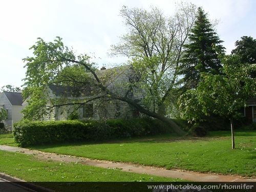 There was tree damage at almost every house in my neighborhood.  (Manistee, Michigan)