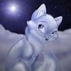 Onyx Fox35 profile image