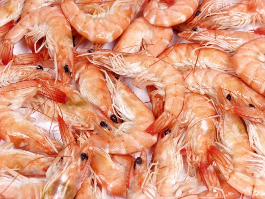 Fresh shrimp is best for shrimp recipes.