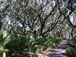 Cumberland Island in Georgia