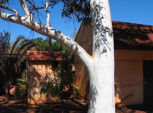 Ghostly gum