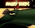 Angry Birds What Is The Mighty Eagle? - Explained, Tips, Features, Cheats