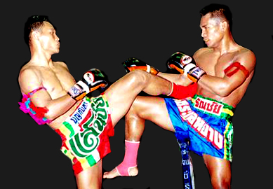 Professional fighters using Twins gloves